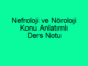 Nefroloji ve Nöroloji Konu Anlatımlı Ders Notu